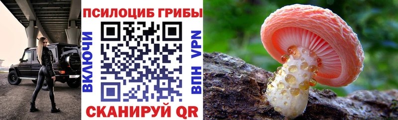 Псилоцибиновые грибы прущие грибы  как найти закладки  нарко площадка Telegram  Киров 