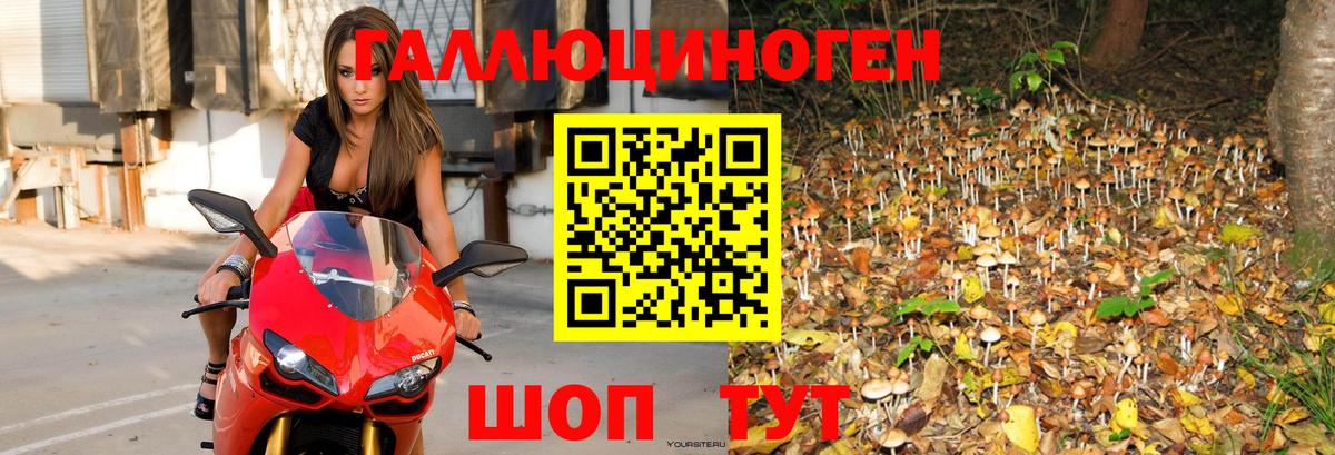 Галлюциногенные грибы мухоморы Киров
