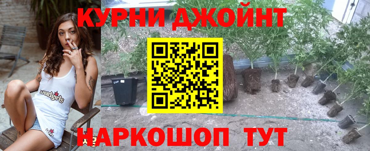 Шишки марихуана сатива Киров